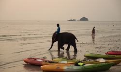 Остров Ко Чанг, Тайланд, фото туристов 2014. Тайланд фото