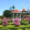 Парк Нонг Нуч (Nong Nooch) в Паттайе. Тайланд фото